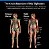 image:imageAletha Original Hip Hook Psoas amp Iliacus Hip Flexor Release Tool US MadeWhite1